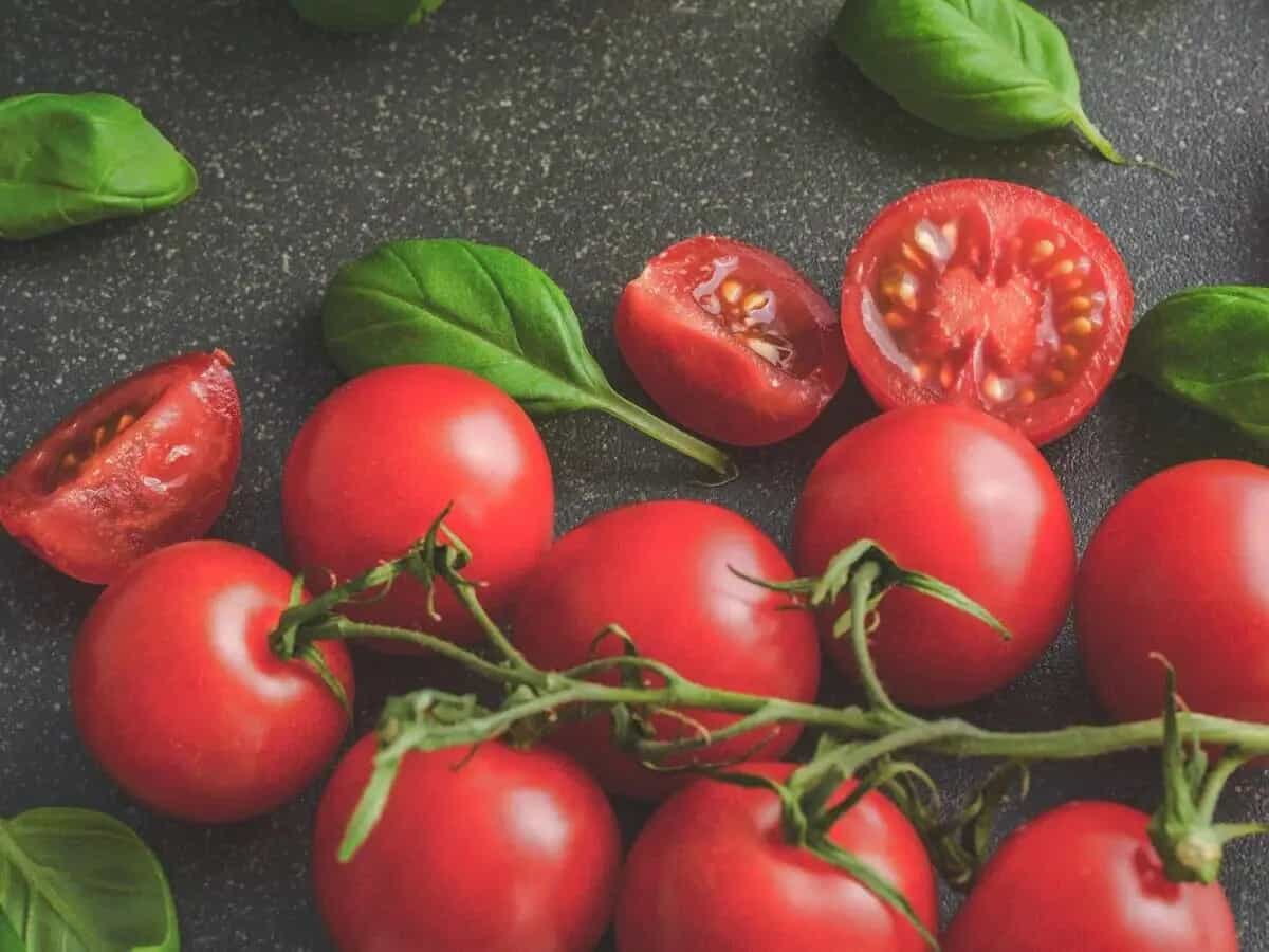 differenza pomodoro pachino pomodoro ciliegino