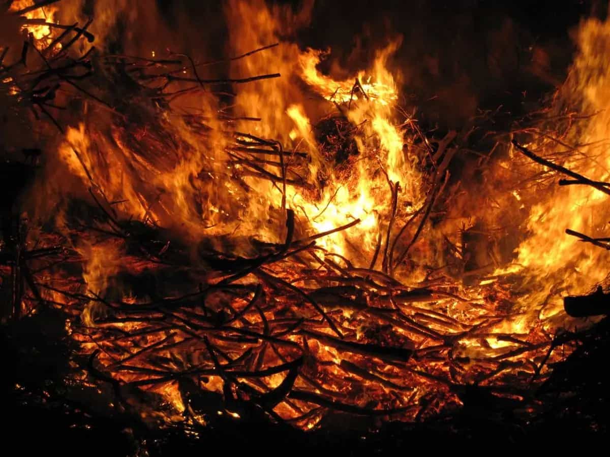 incendi boschivi