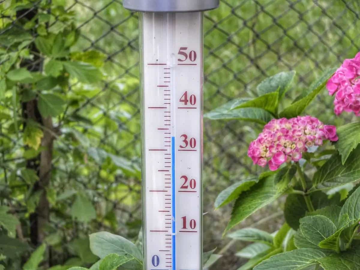 ondate di calore Siviglia