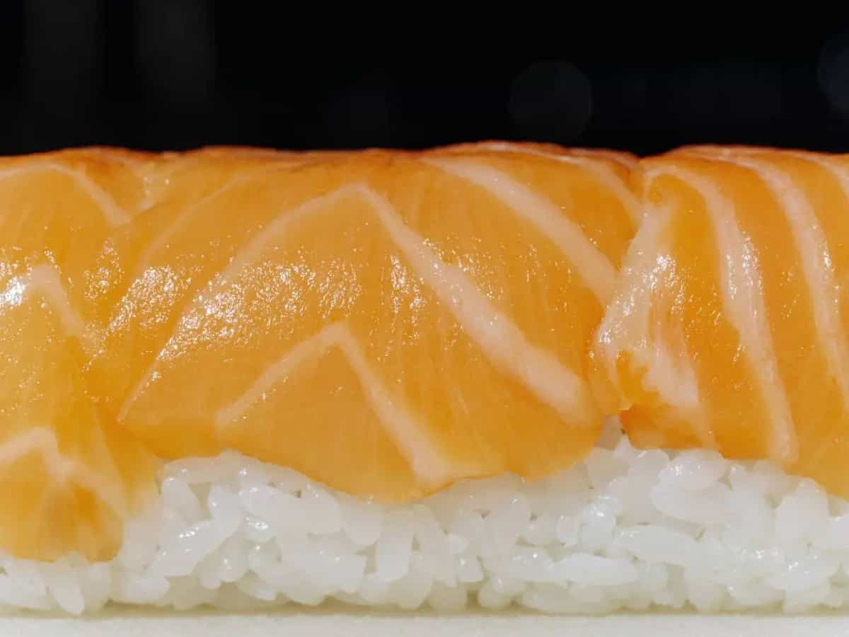 salmone vegetale