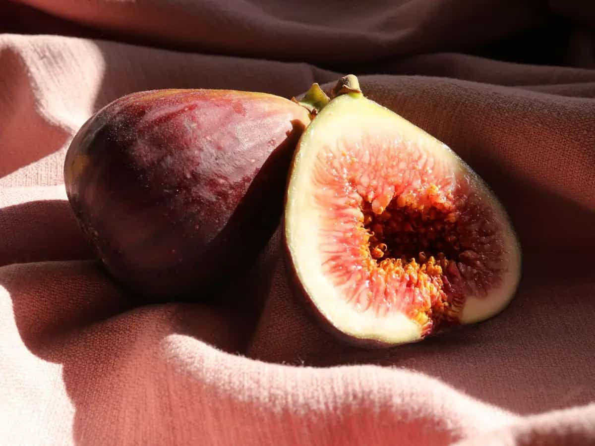 buccia fico fa male