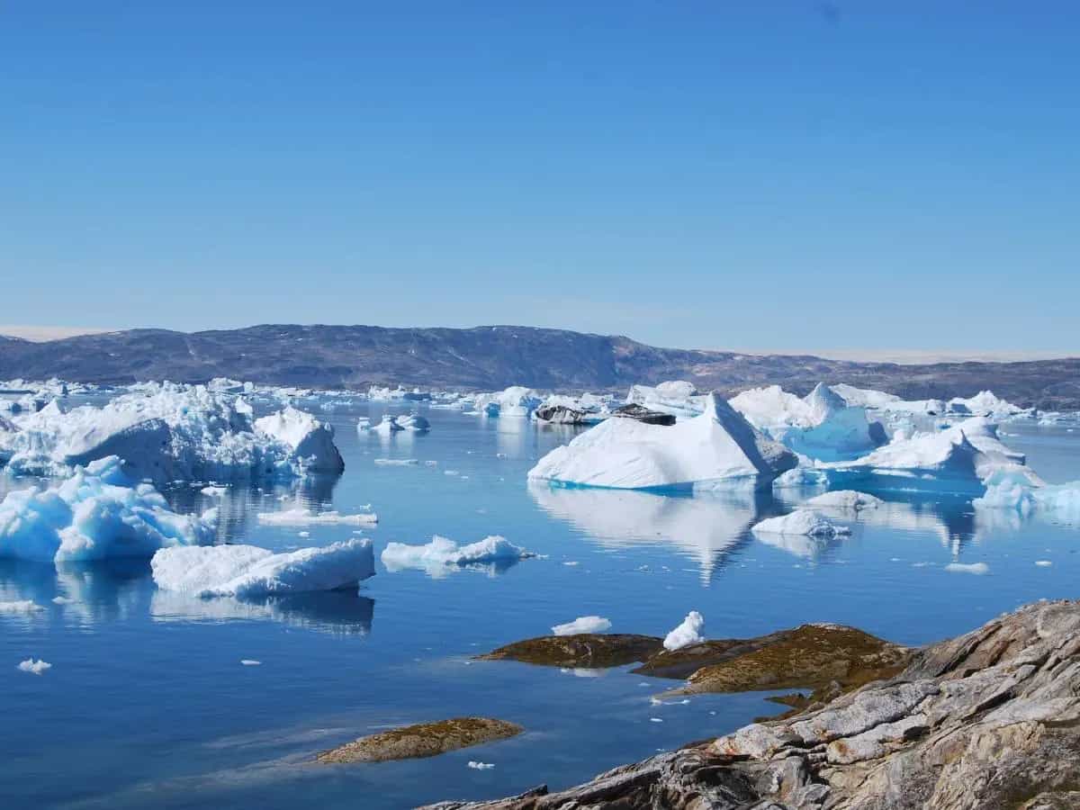 cambiamento climatico Artico