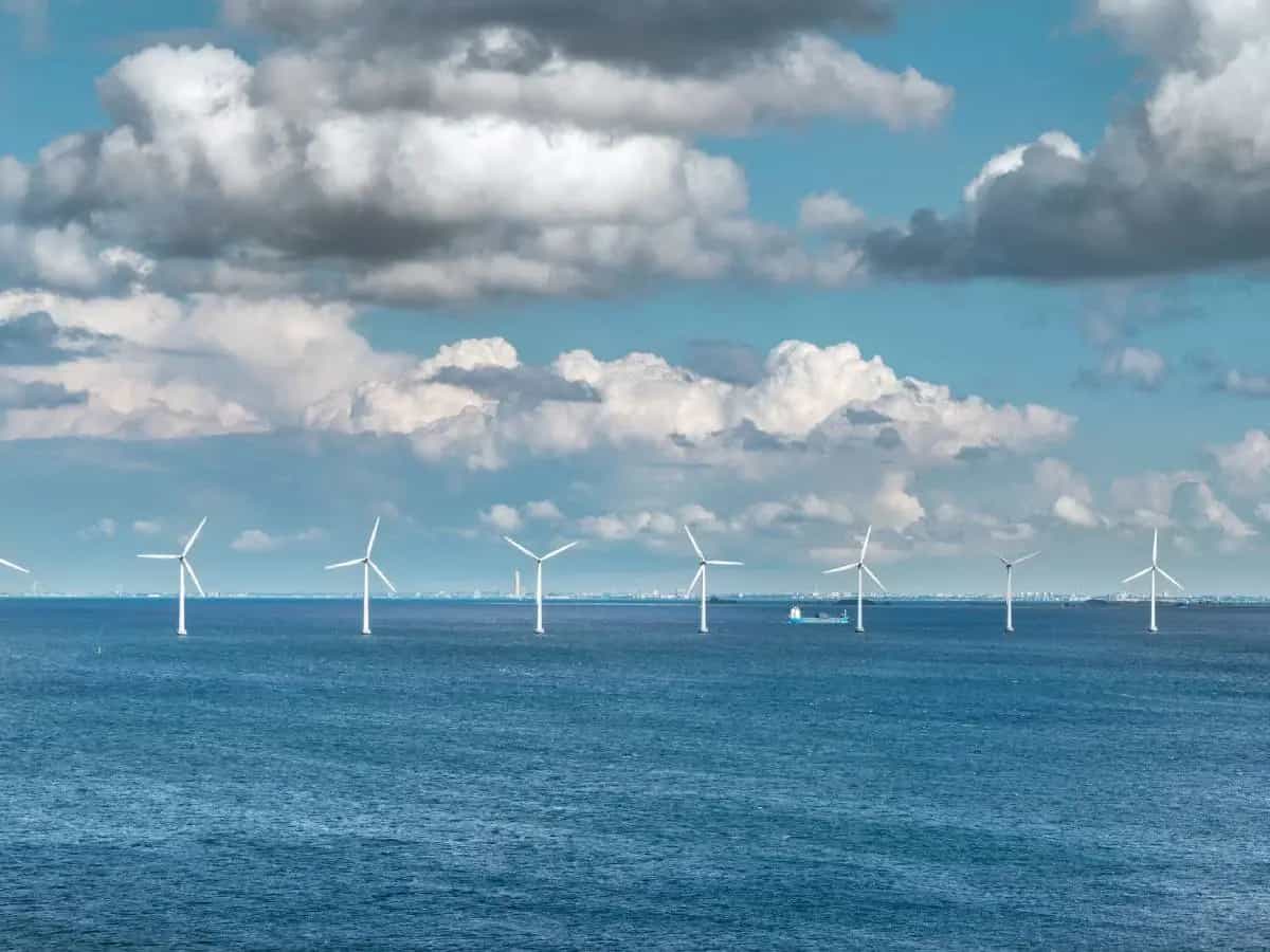 eolico offshore California