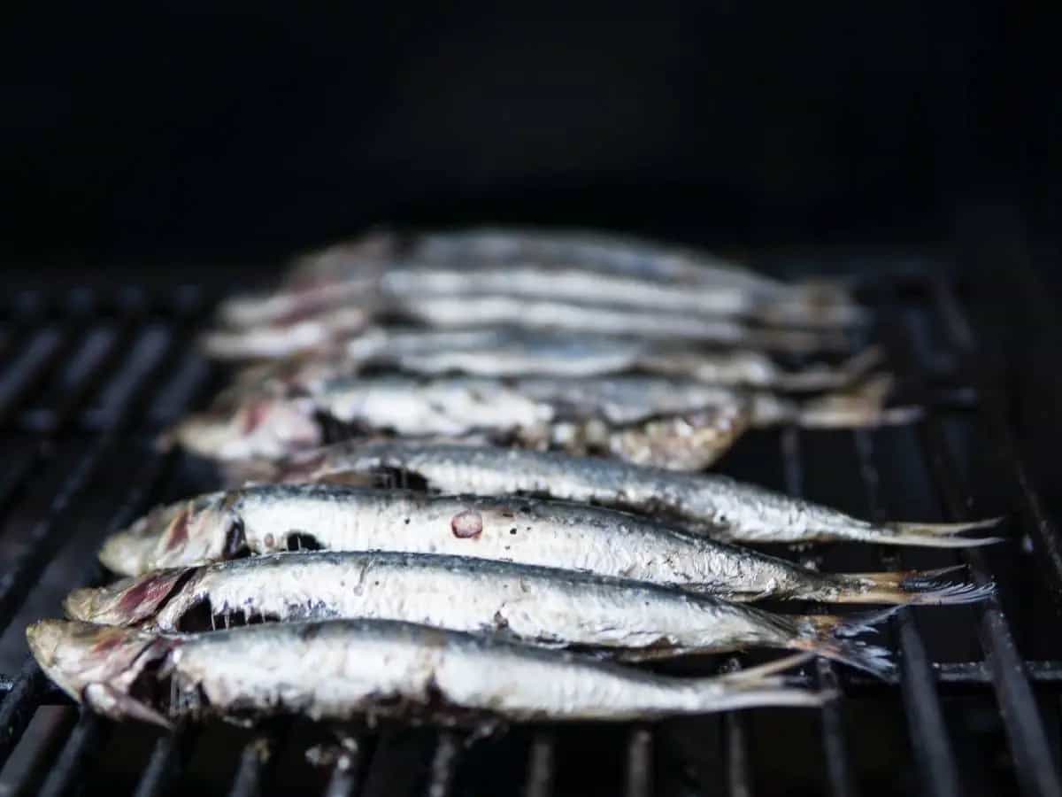 ferragosto grigliata sostenibile