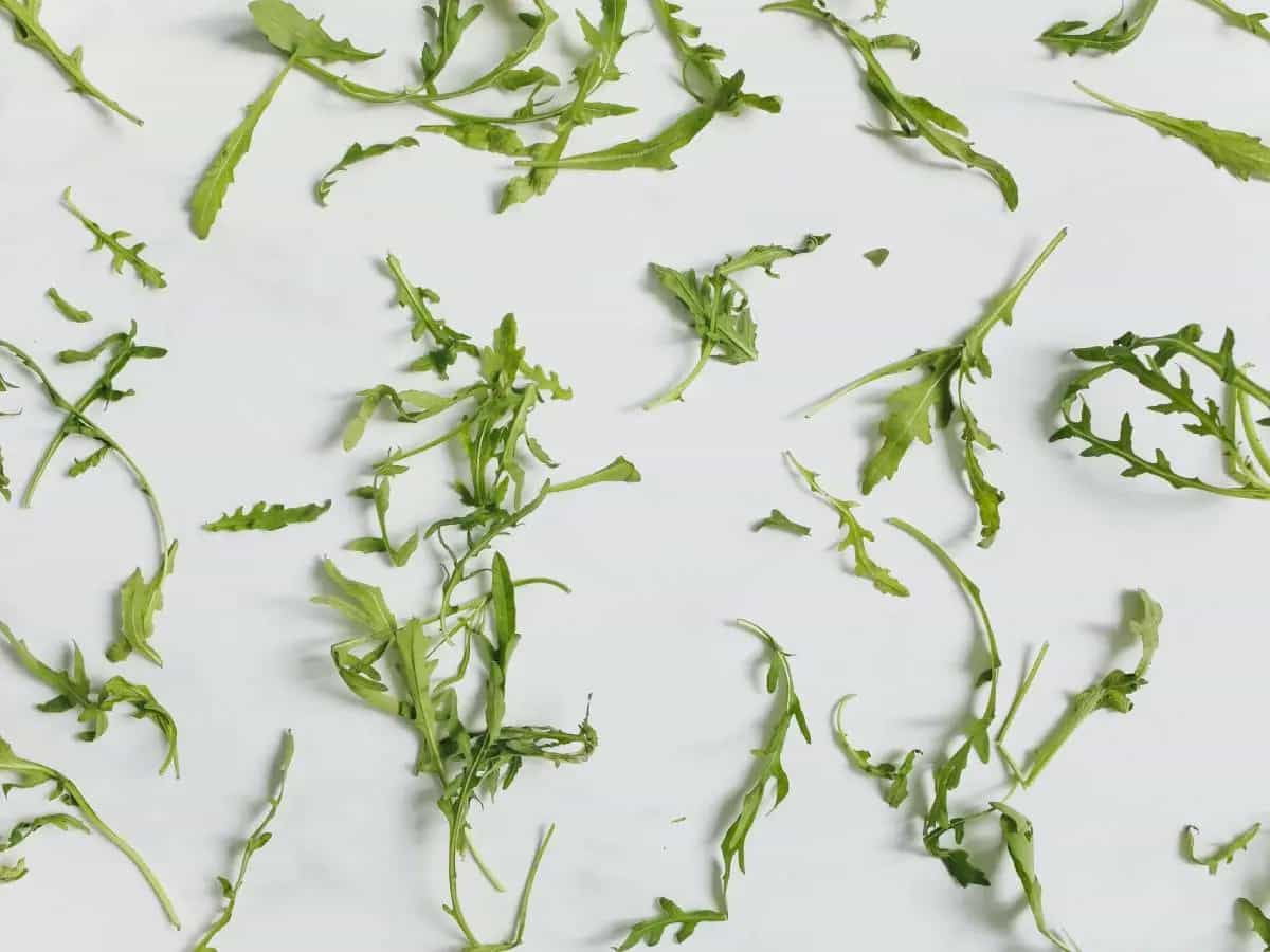 rucola proprietà benefici
