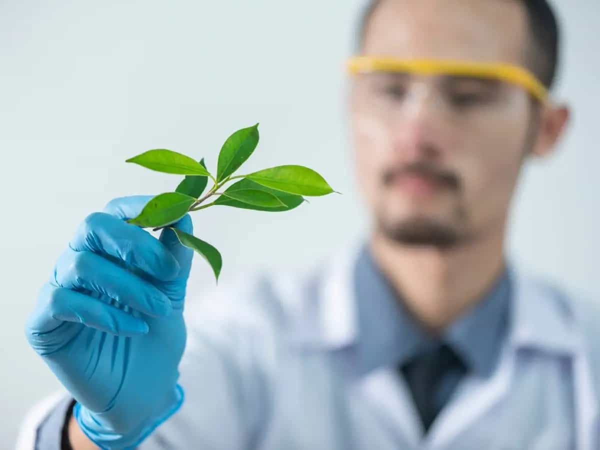 scienza impronta di carbonio