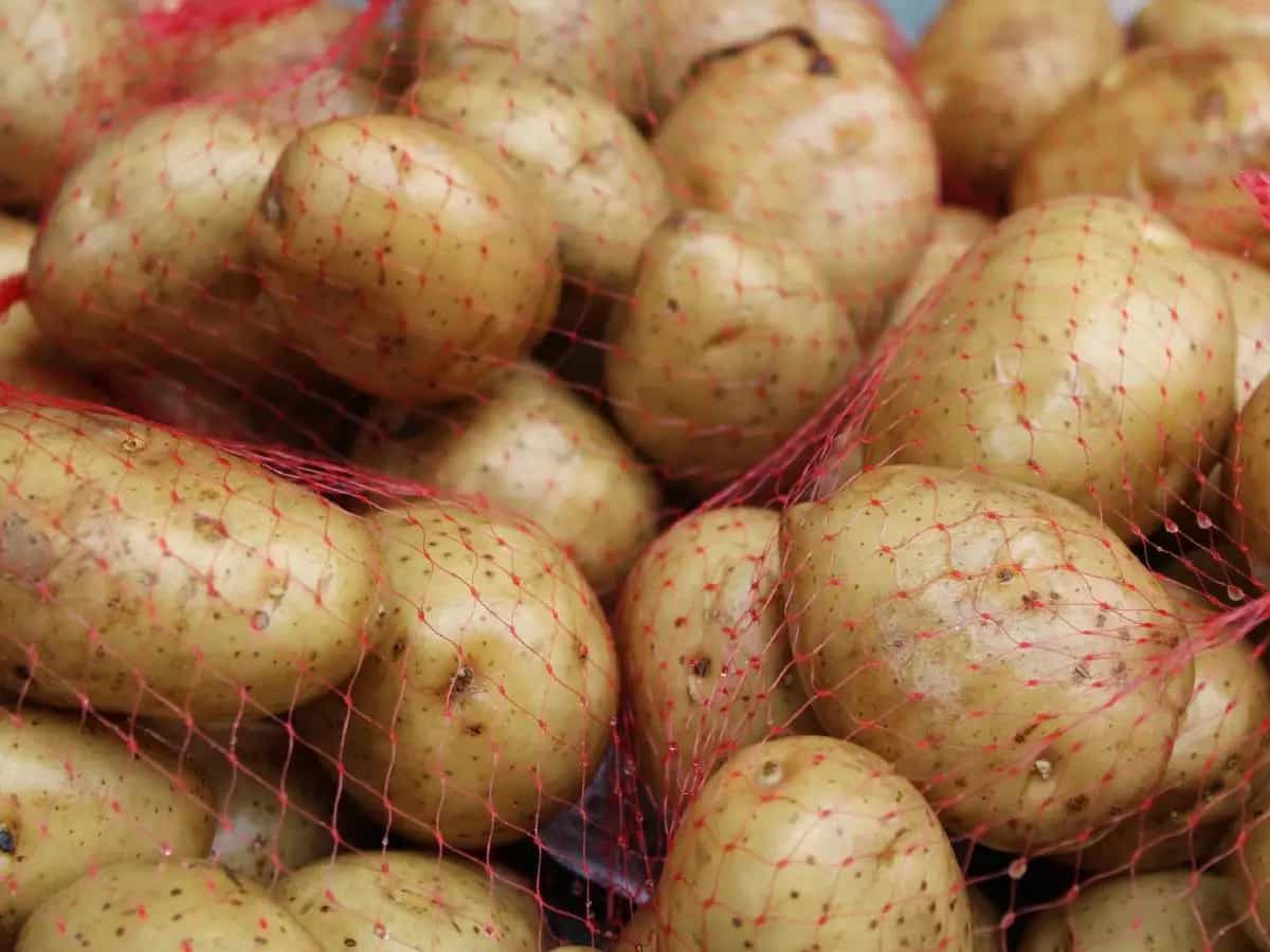 differenza patate bianche rosse
