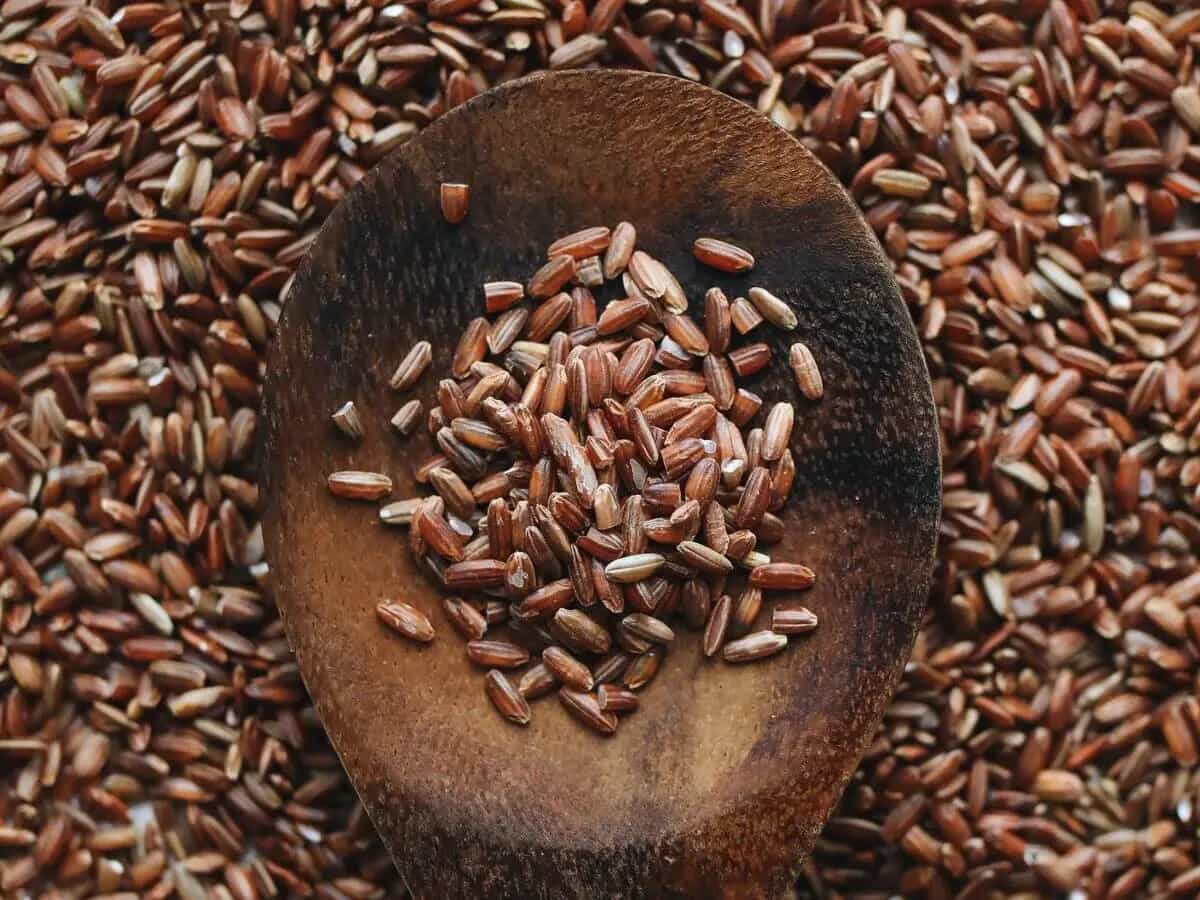 differenza riso rosso e nero