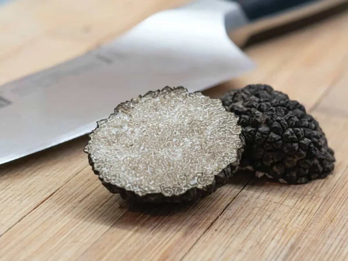 differenza tartufo scorzone uncinato