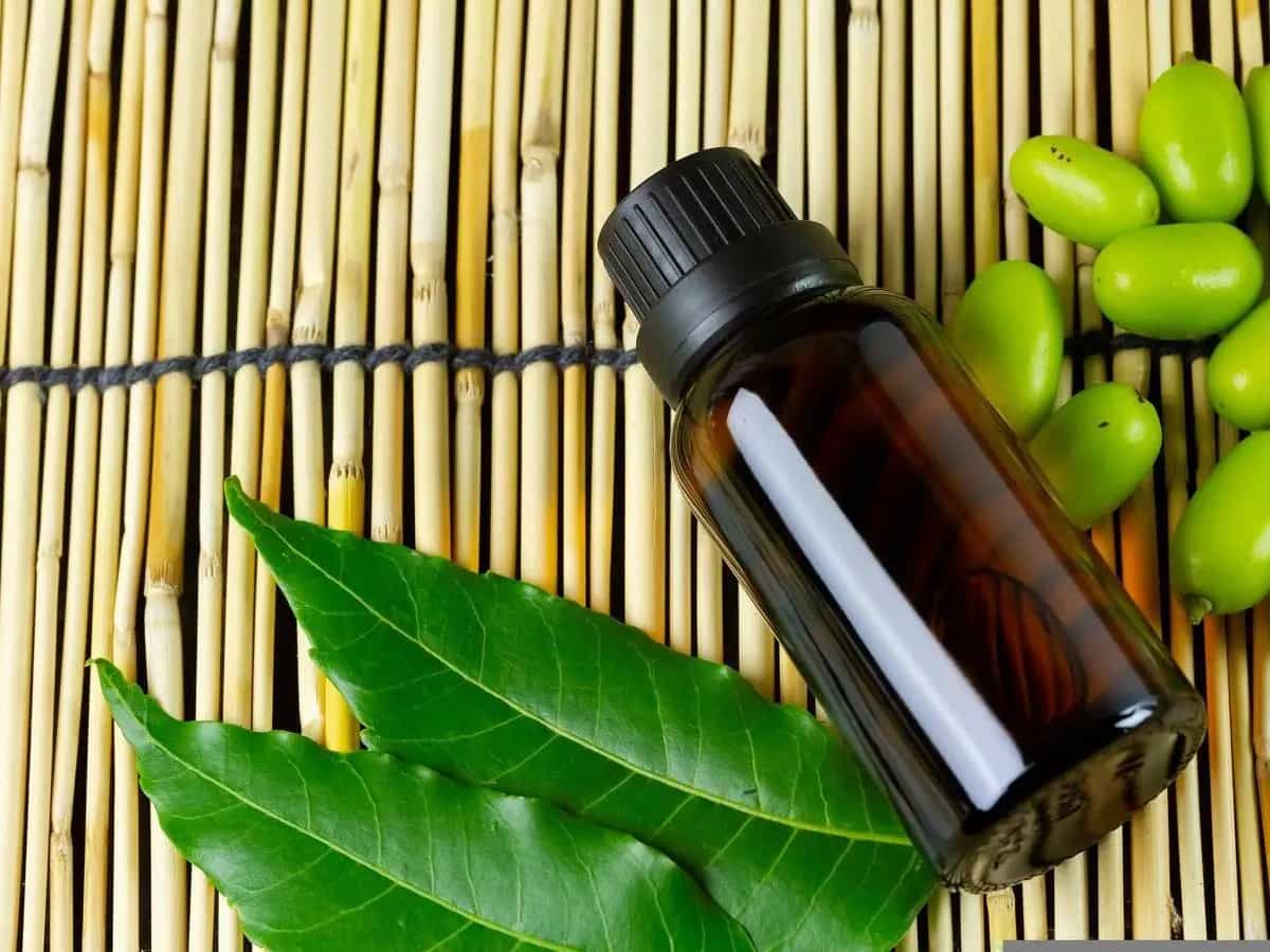 olio di neem usi