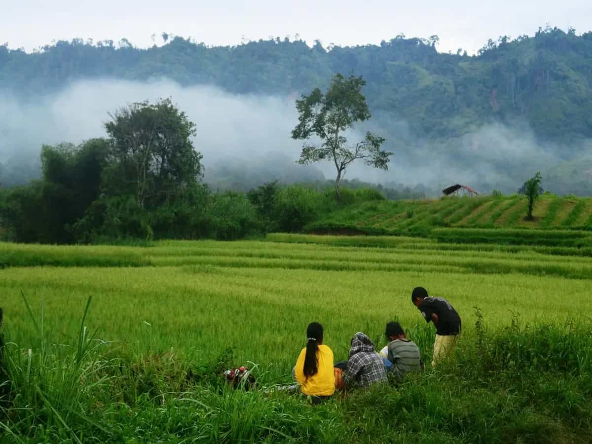 Ecoturismo che cos'è