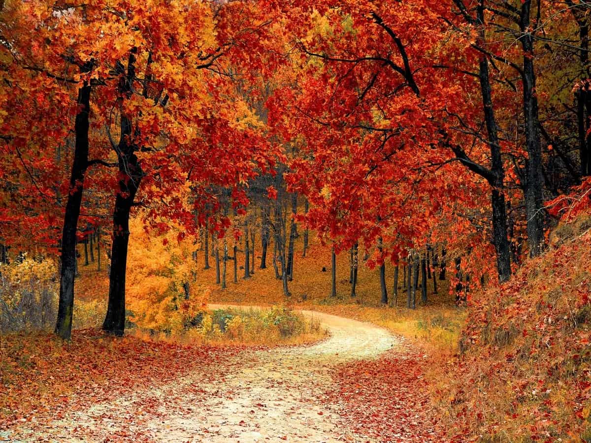 Foliage passeggiate Italia