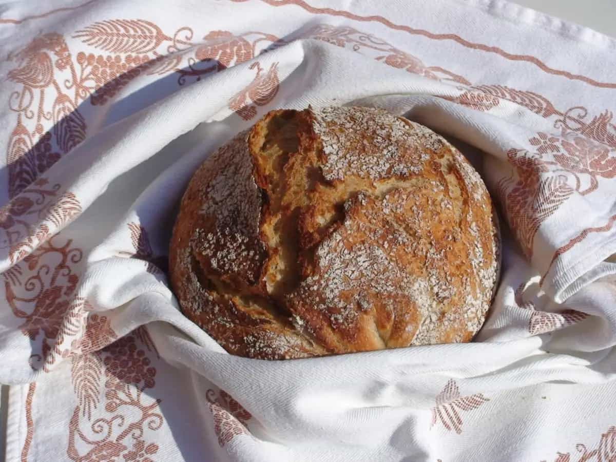 Grano Khorasan proprietà e benefici