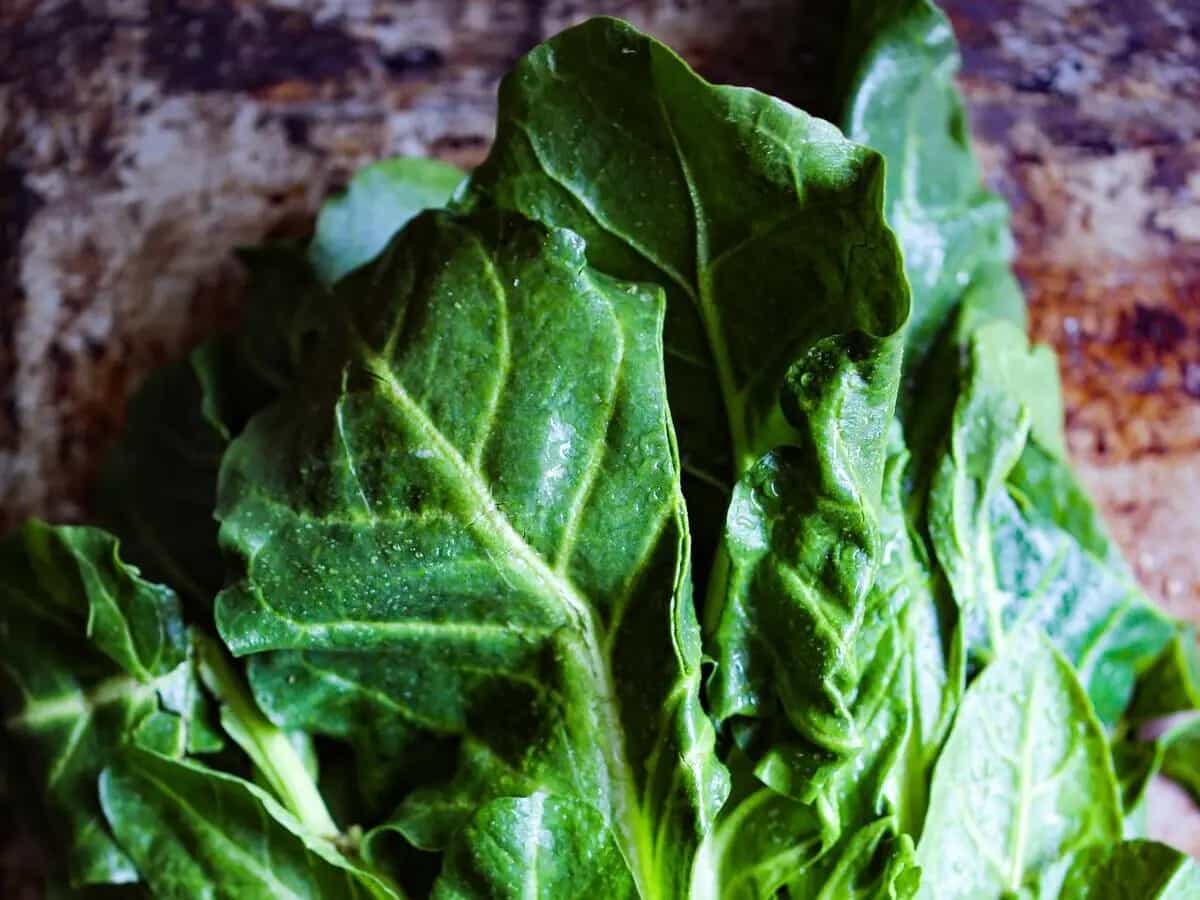 differenza mandragora bietola