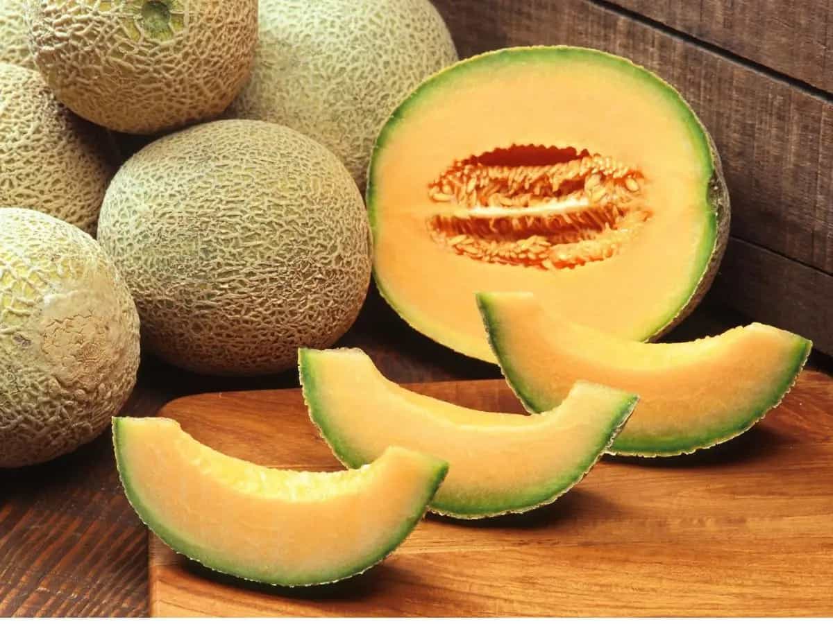 Differenza tra melone retato e melone cantalupo