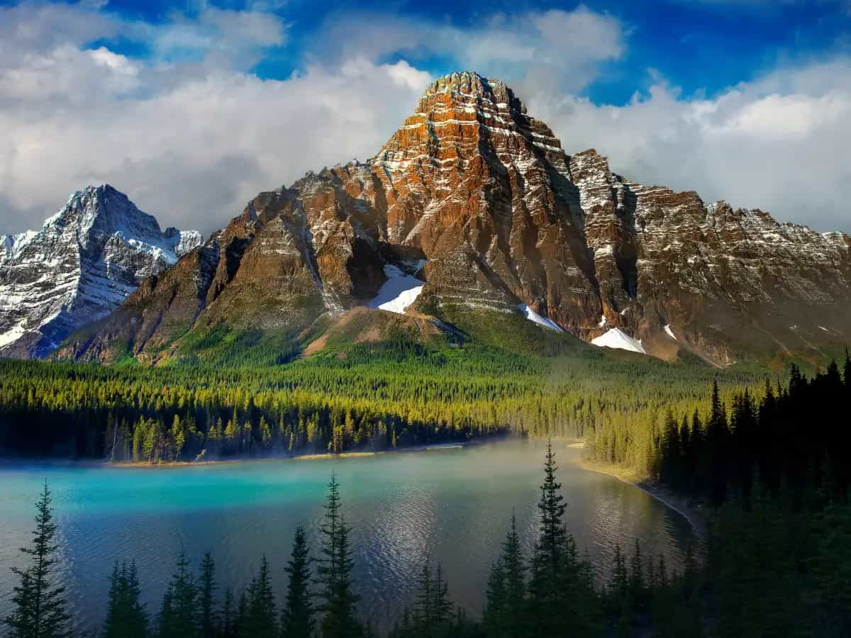 diritti legali natura