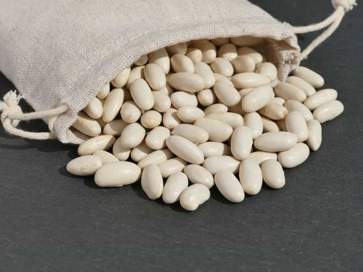 fagioli borlotti cannellini differenza