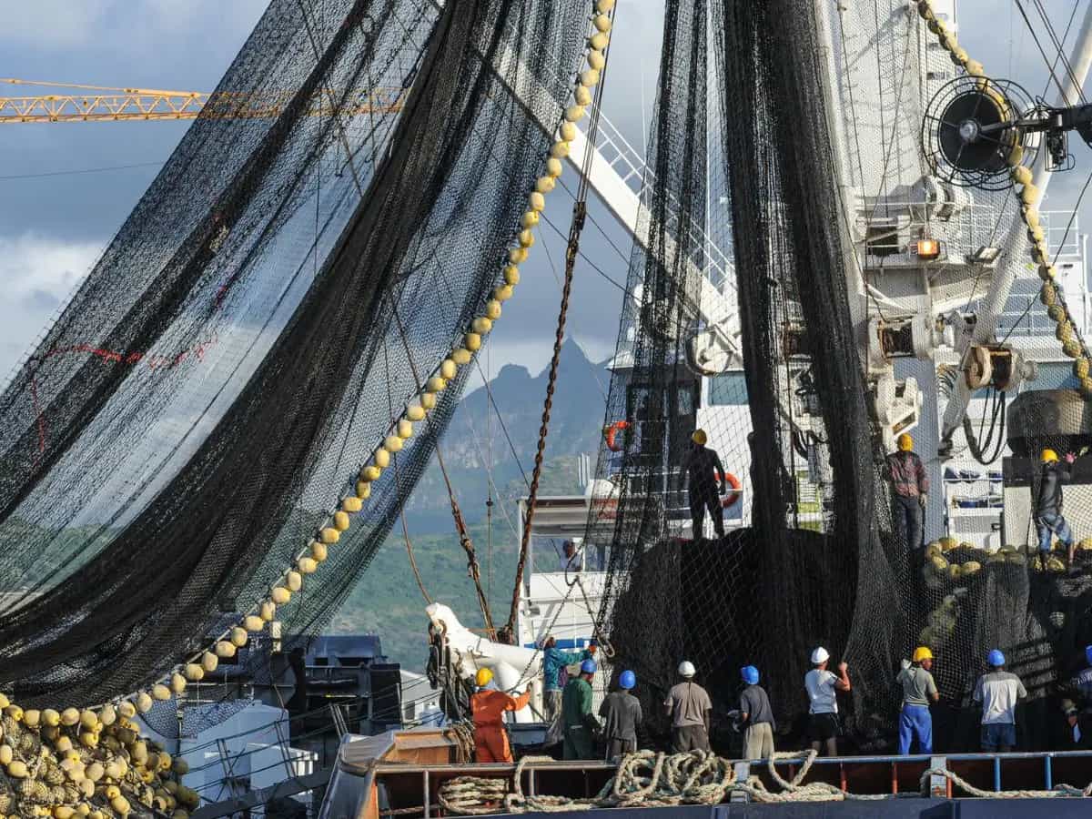Mare, ogni anno perse reti da pesca per una lunghezza pari a 18 volte la Terra