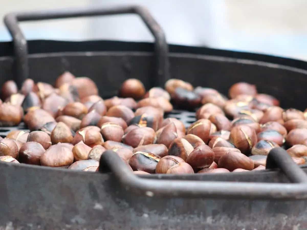 Perché le castagne si chiamano anche caldarroste