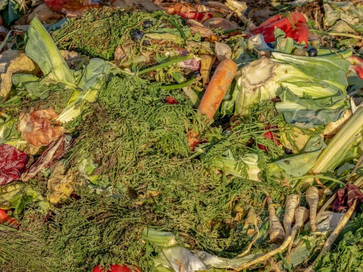 Spreco di cibo, in Unione Europa se ne butta di più di quanto ne viene importato