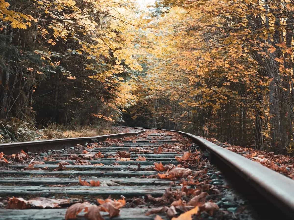 treno del foliage
