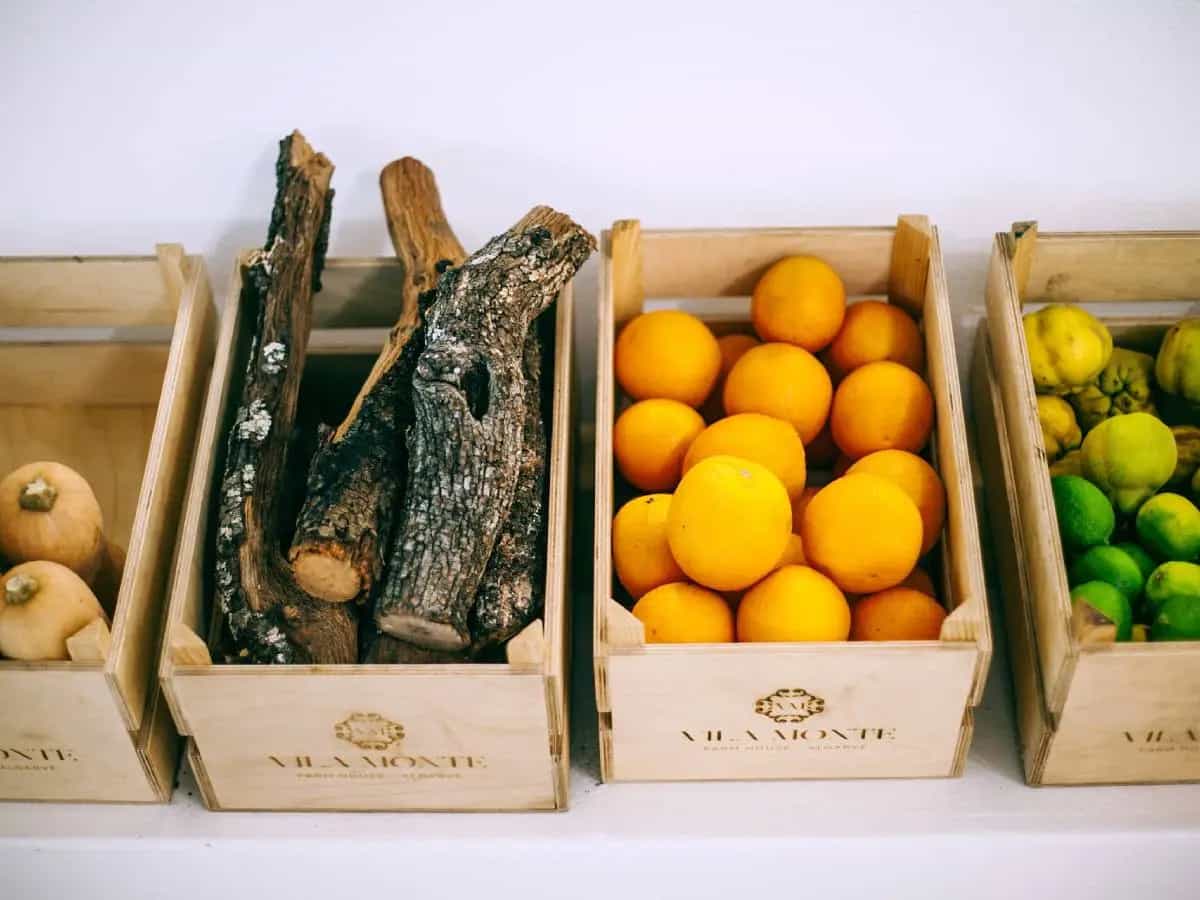 calendario frutta verdura novembre