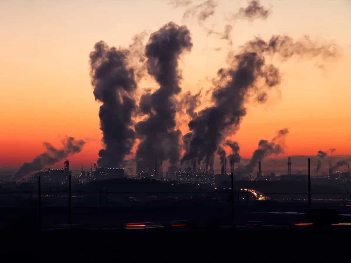 carbon offset