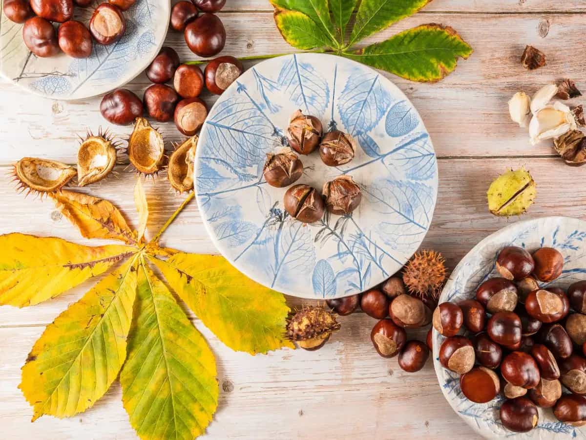 Castagne bollite nel latte, un dolce autunnale della tradizione lombarda
