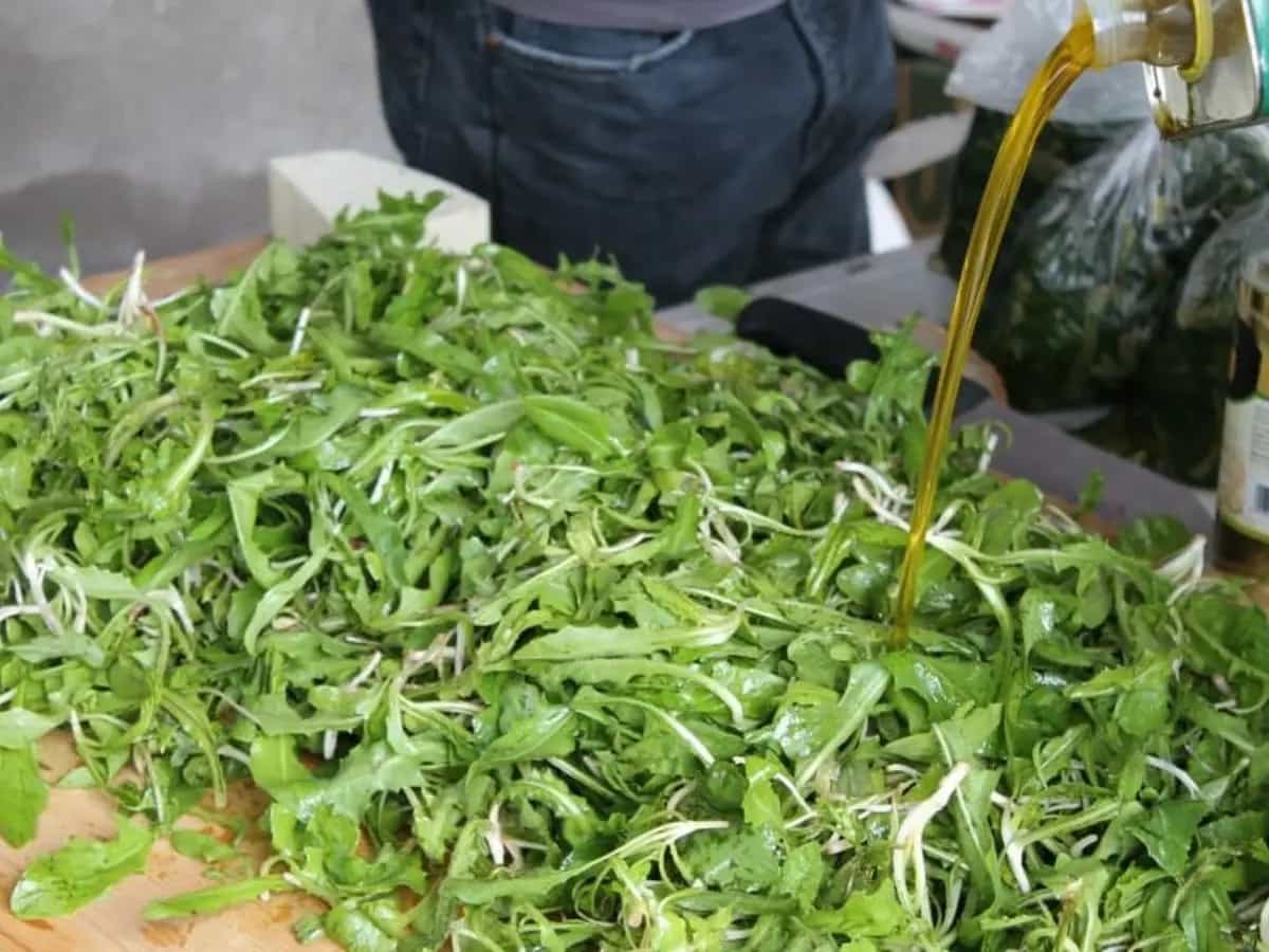 come cucinare la cicoria