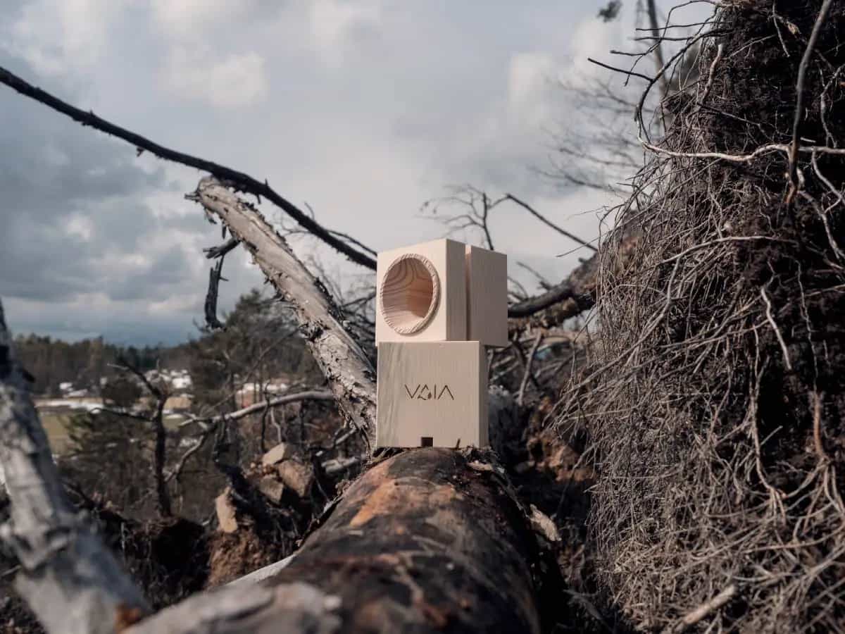 Regali legno Vaia