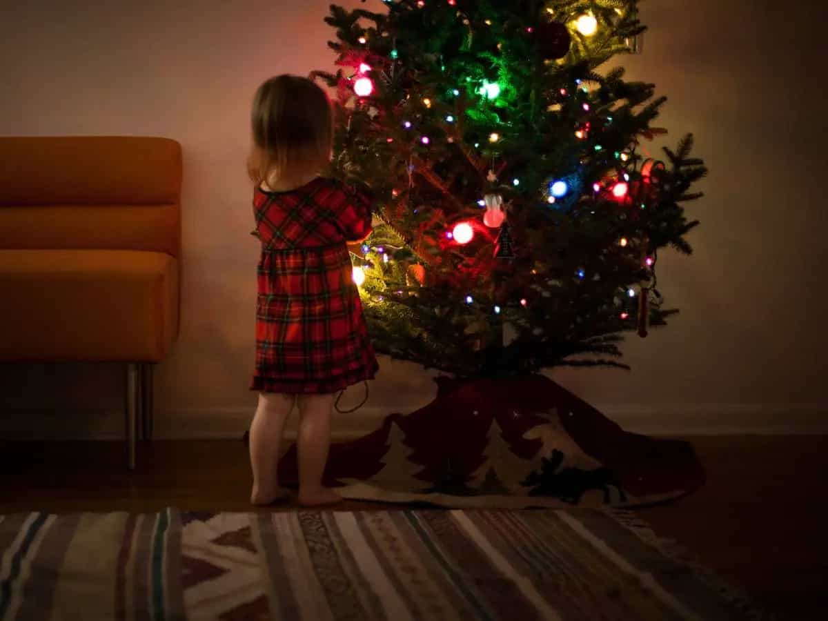 alberi di Natale crisi climatica