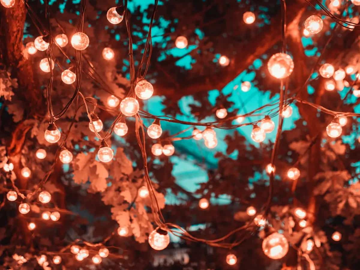 luci di natale rotte