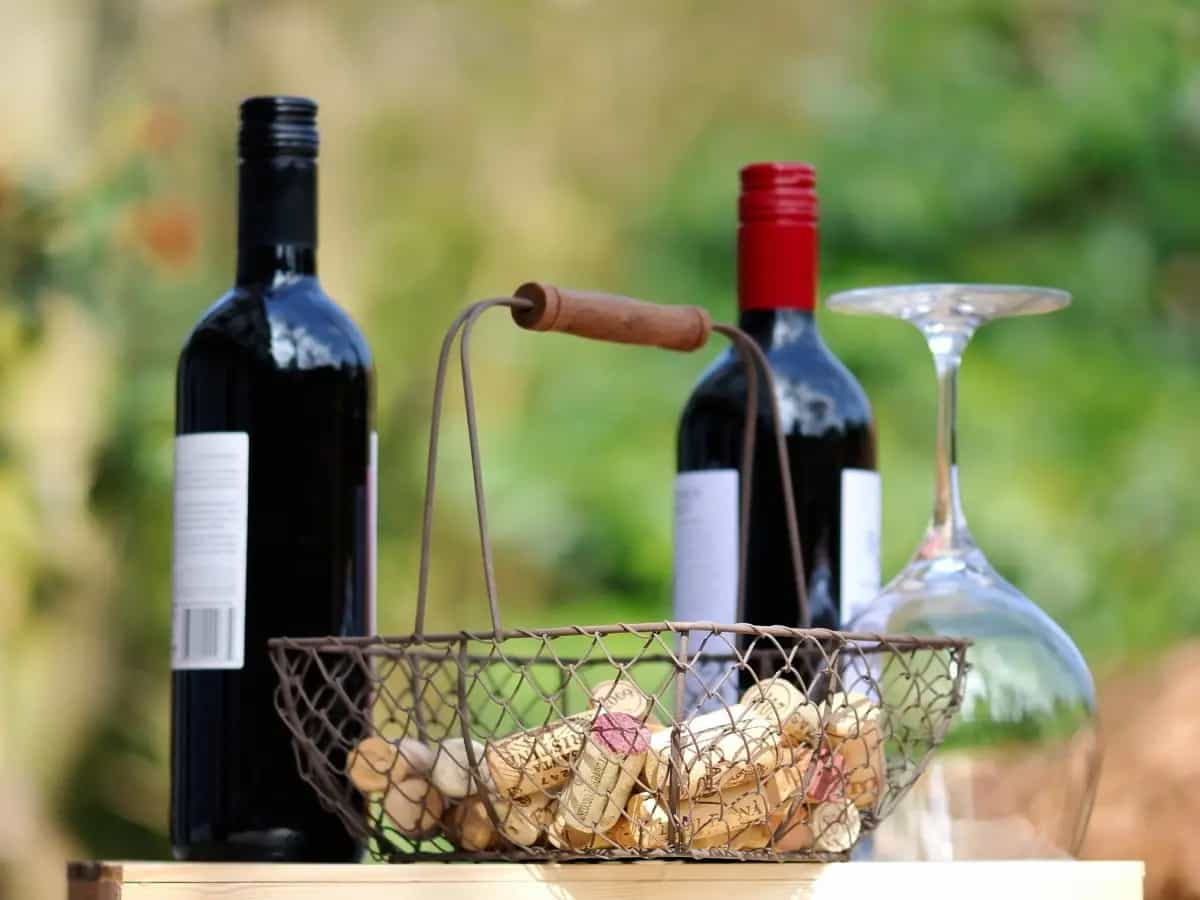 tappi bottiglie vino spumante