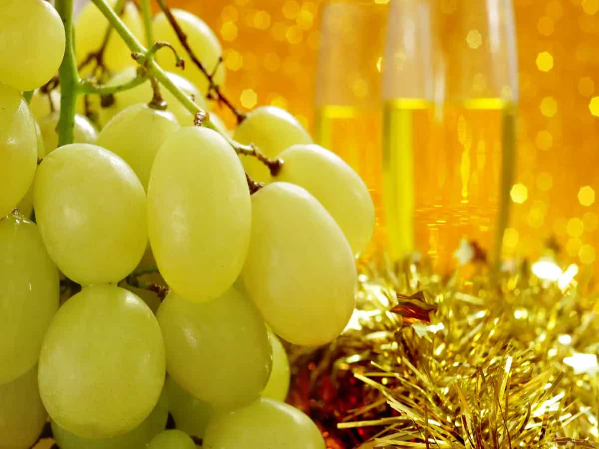 tradizione las uvas de la suerte