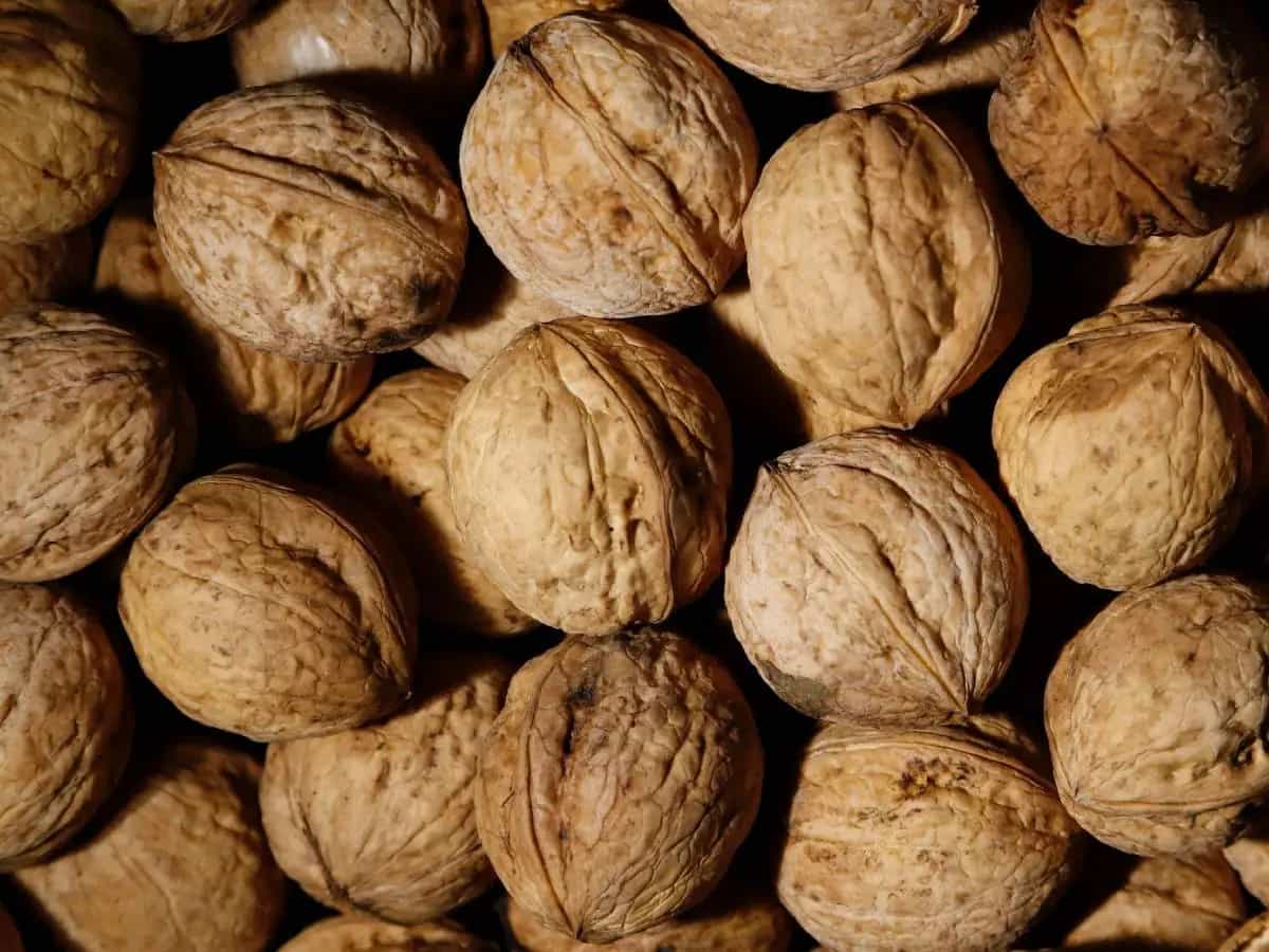 noci proprietà benefici