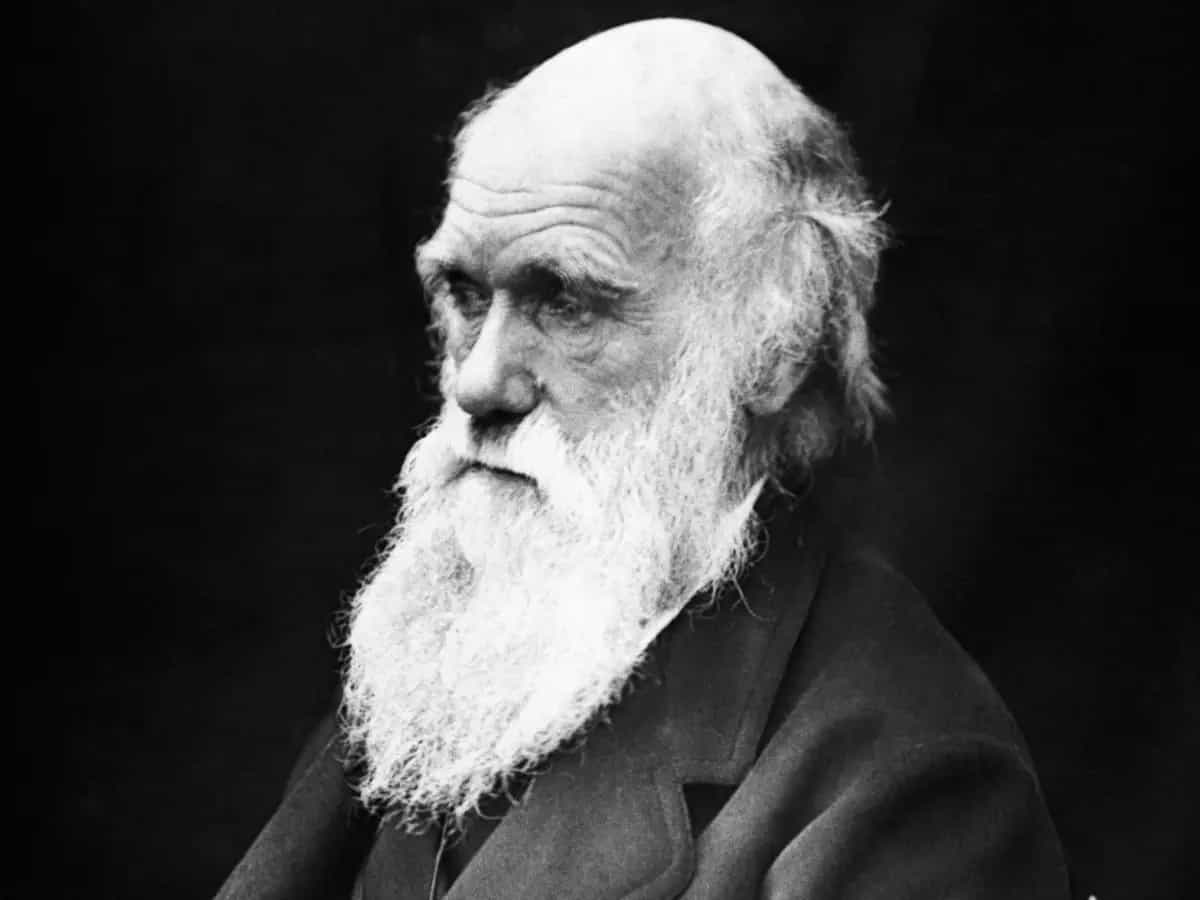 charles darwin frasi celebri