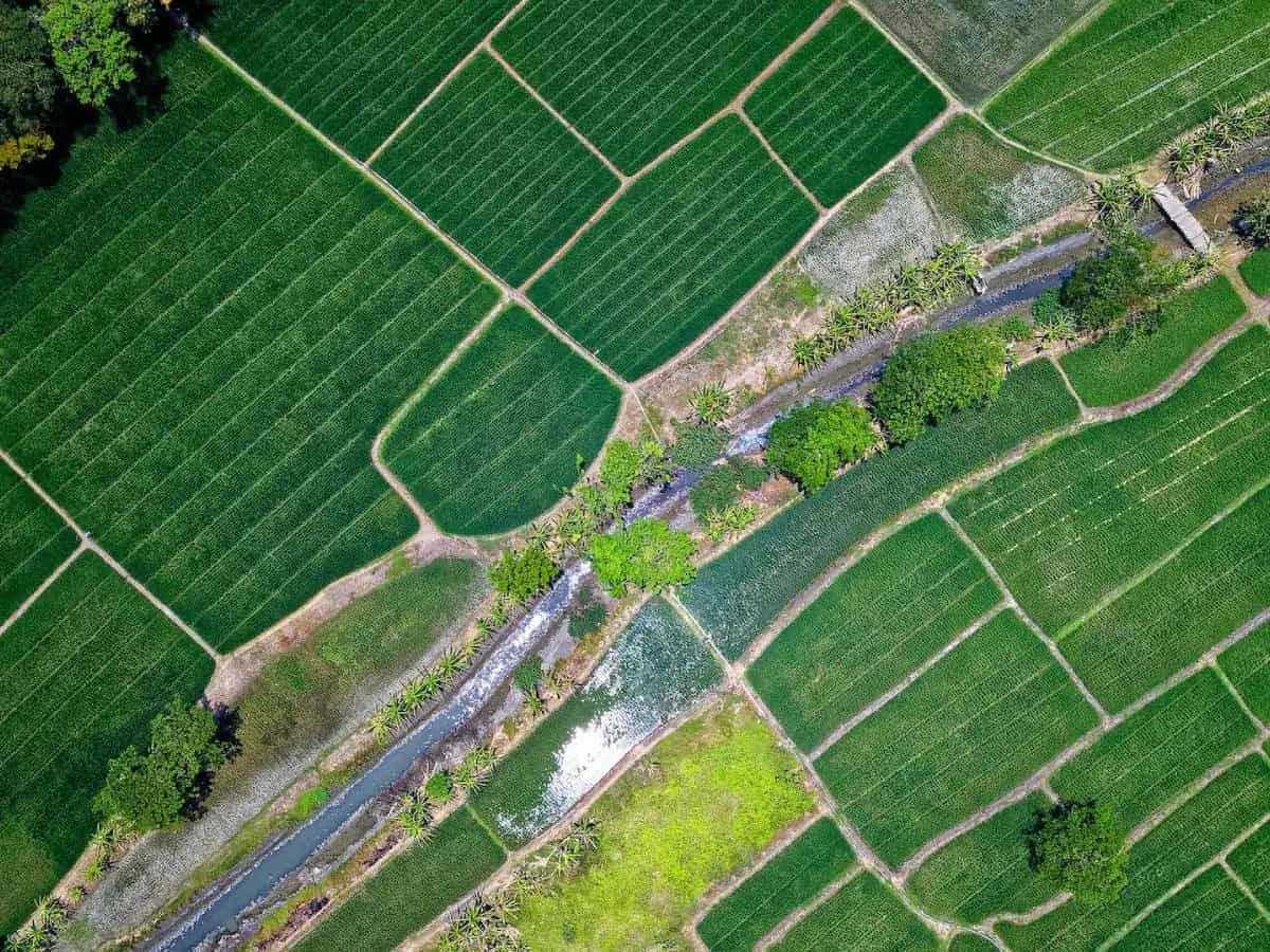 cos'è agricoltura di precisione