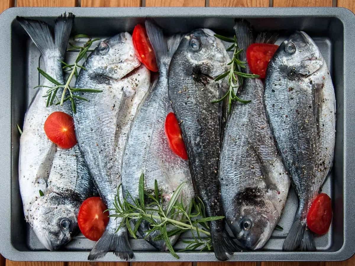 differenza orata branzino