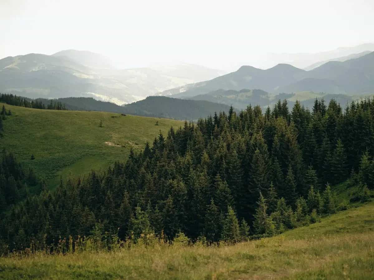 montagne biodiversità perdite