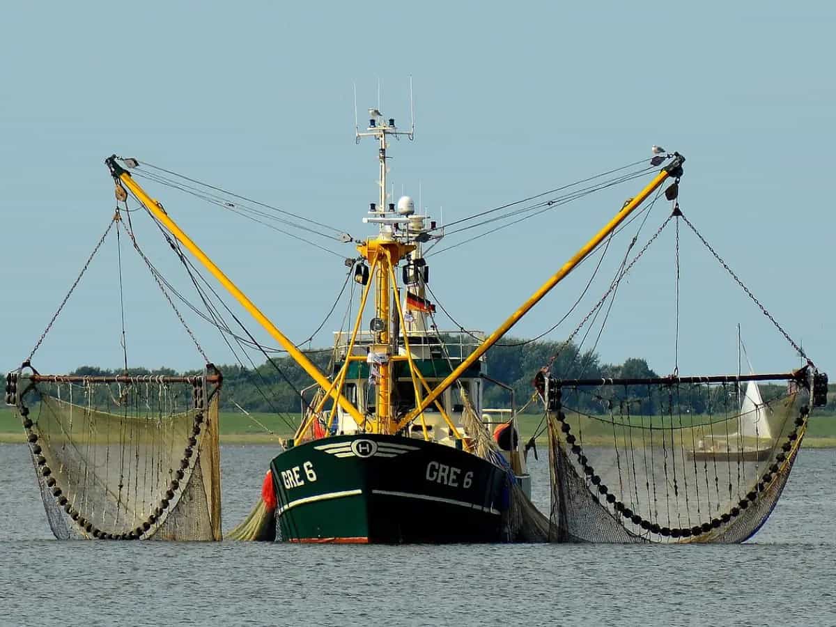 pesca a strascico atlante