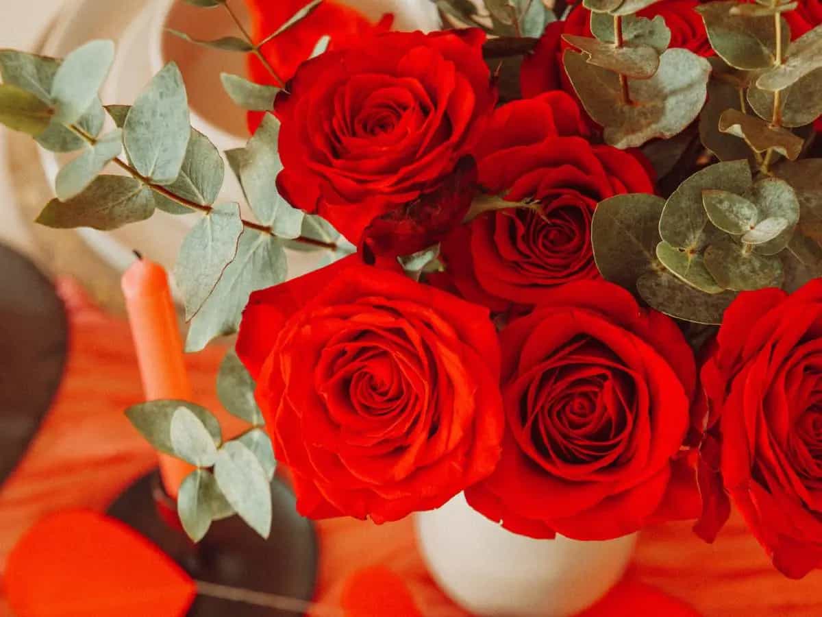 quante rose regalare San Valentino