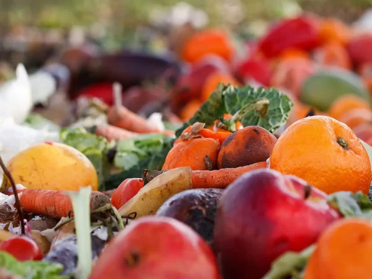 spreco alimentare ambiente