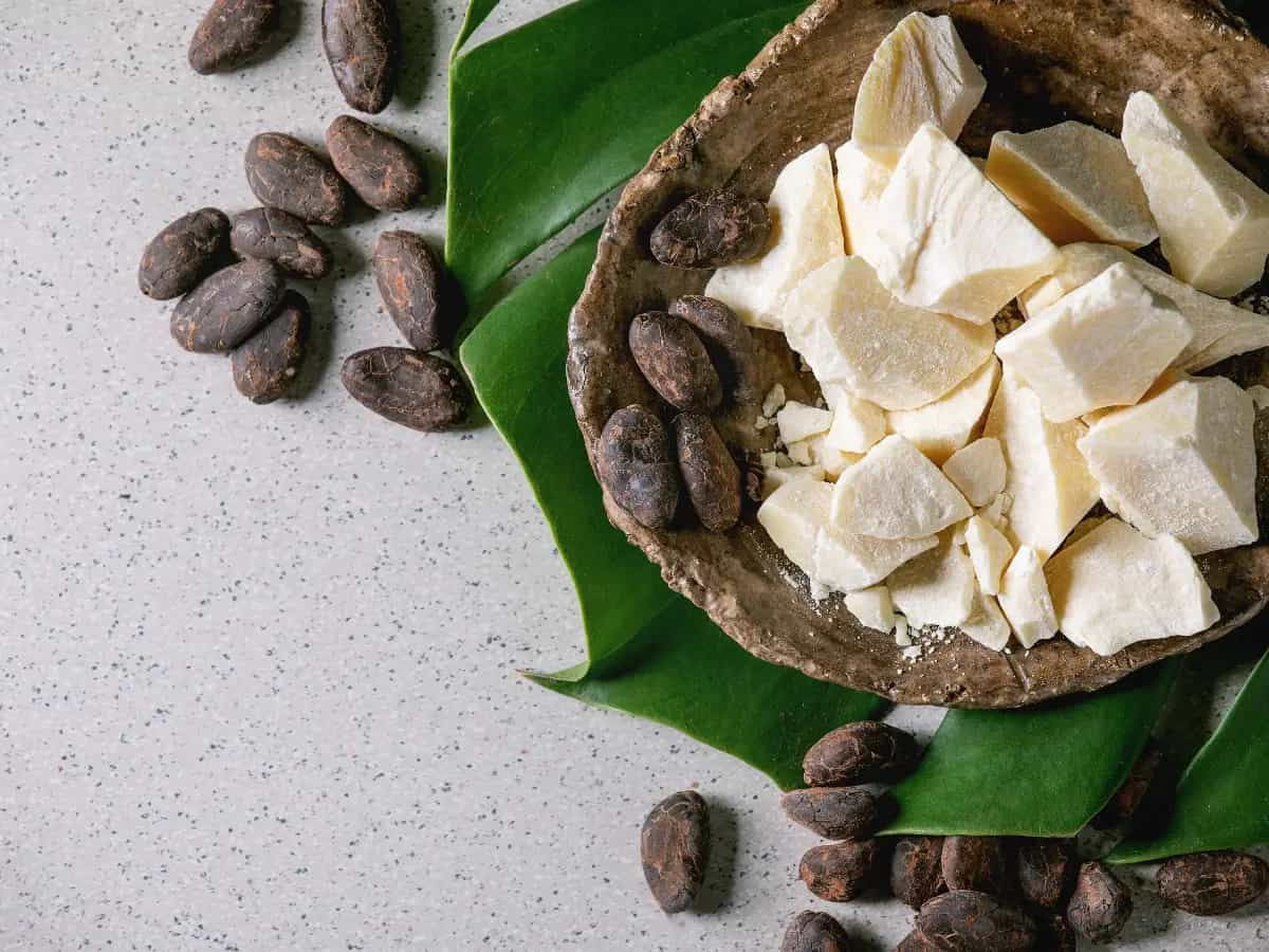 burro di cacao alimentare