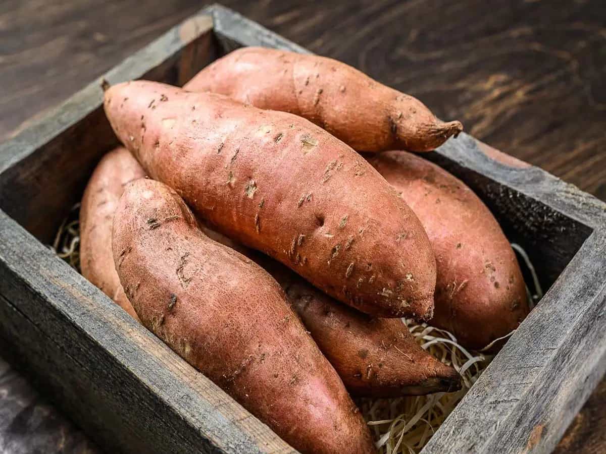 differenza patata batata