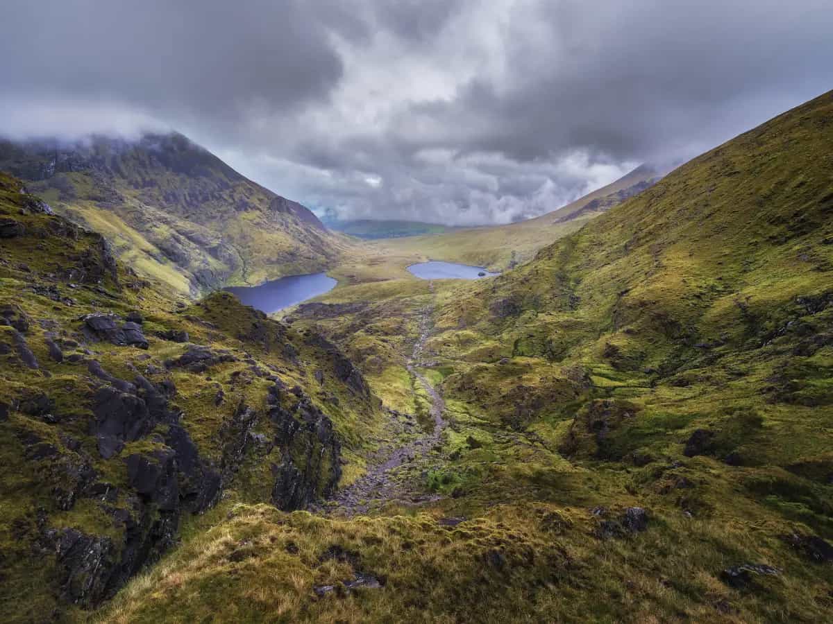 irlanda foreste