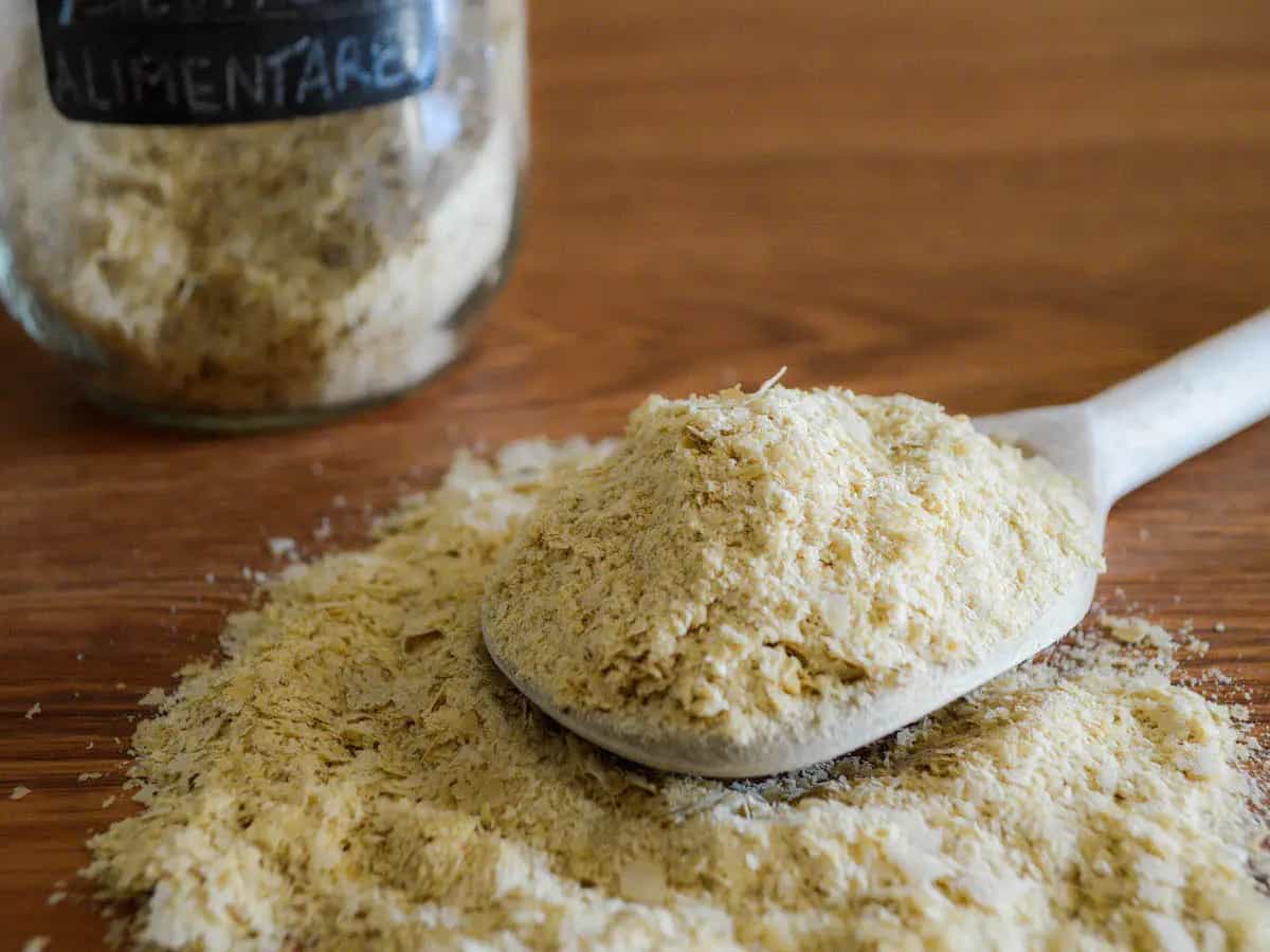 Lievito alimentare cos'è