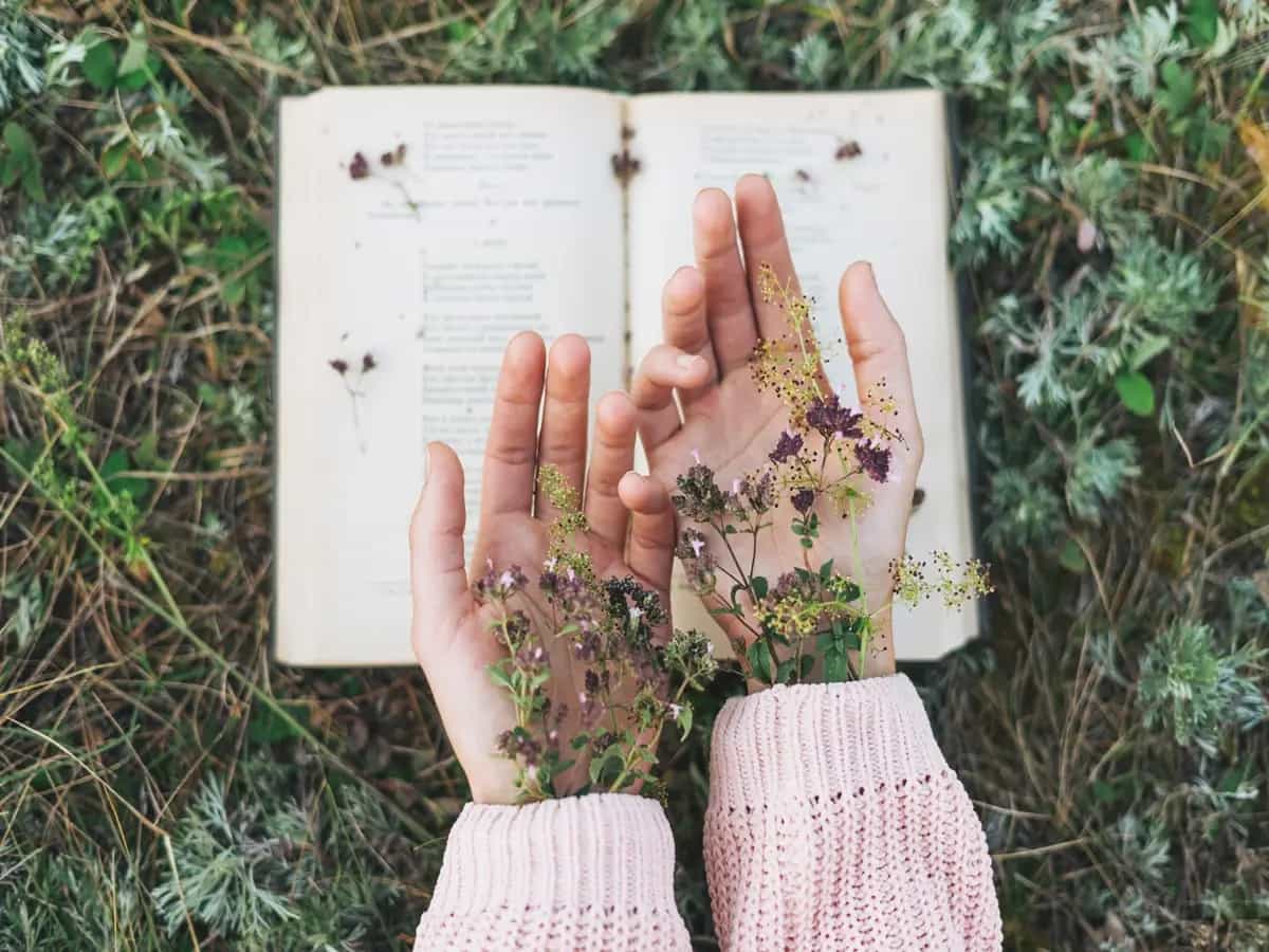 Emily Dickinson poesie natura