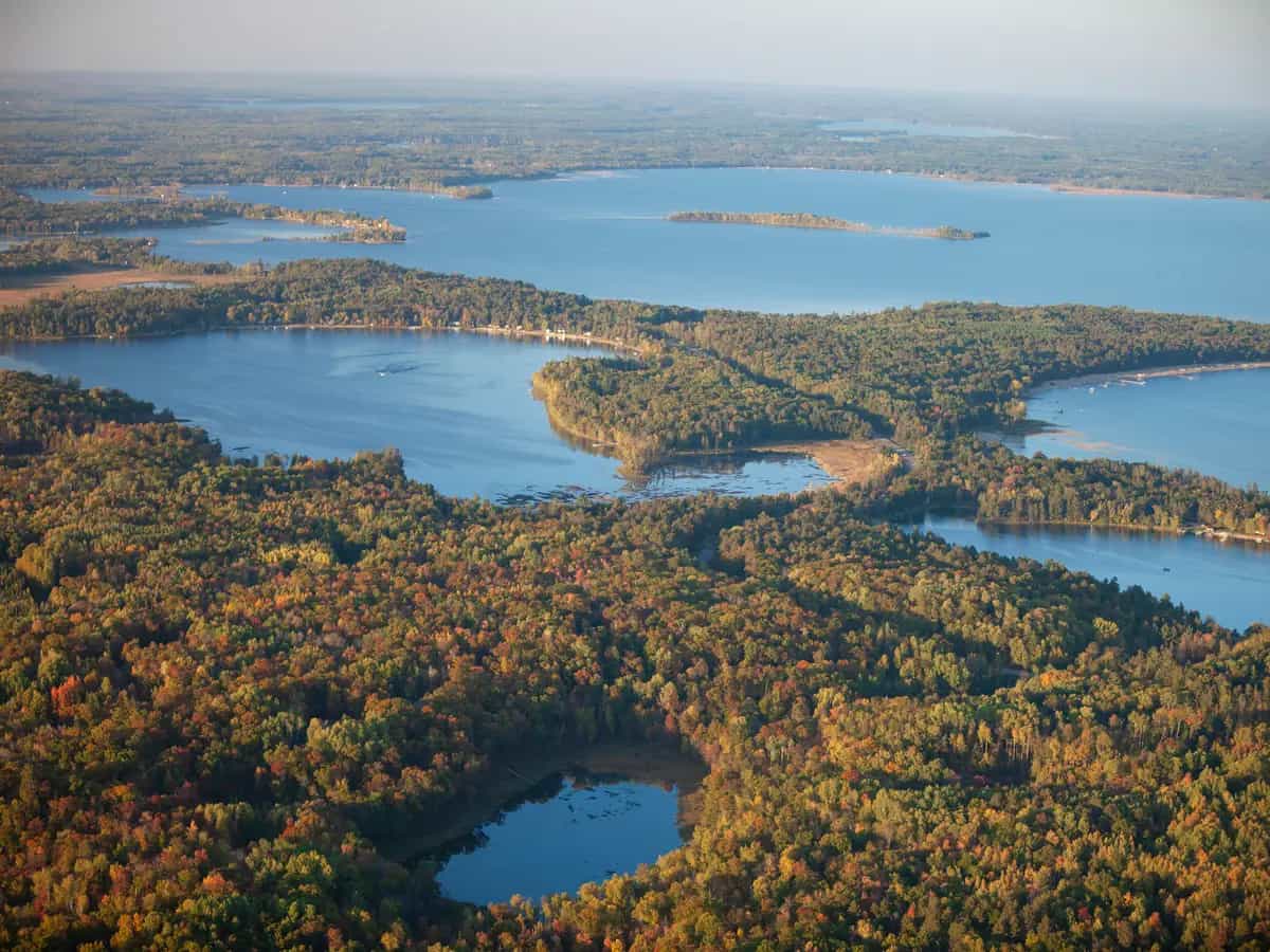 Bosco Minnesota