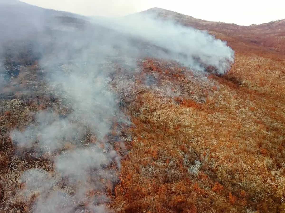 buco ozono incendi