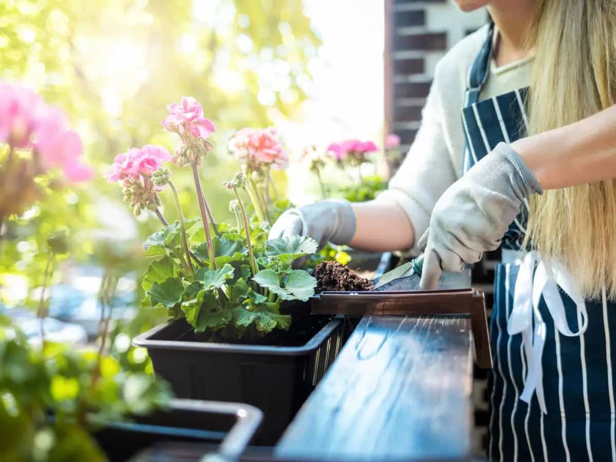 erbe aromatiche balcone